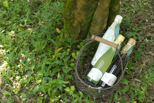 ゆずのボトルシリーズ