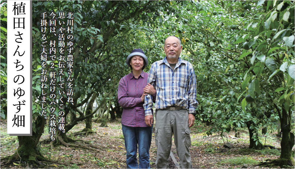 植田さん