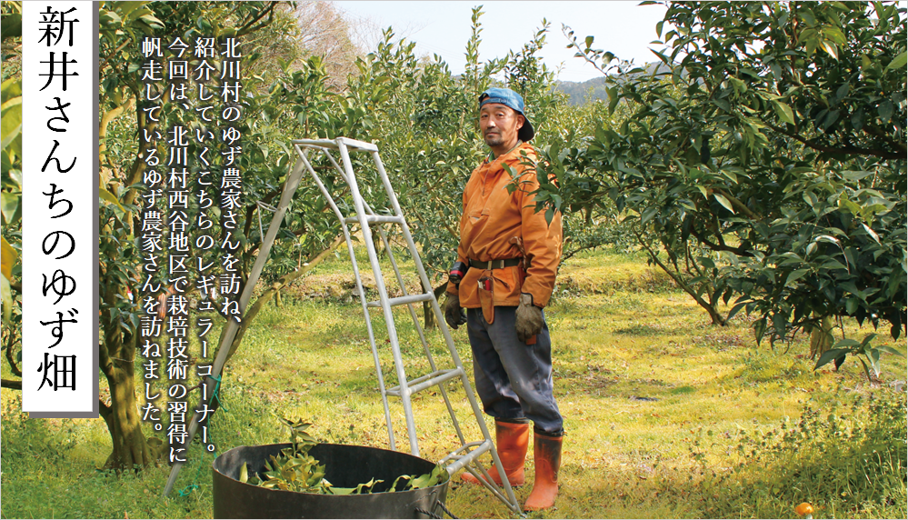 新井さん
