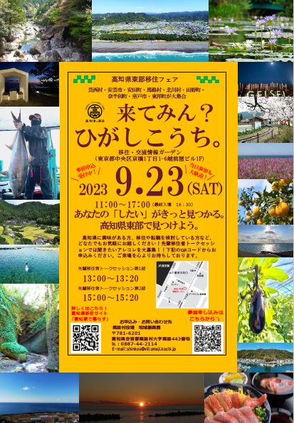 チラシ