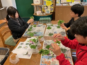 ワーキングホリデーゆず収穫募集2