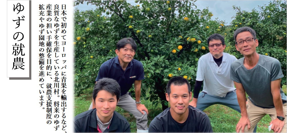 ゆずの就農