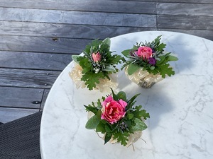 ワーキングホリデーゆず収穫募集3