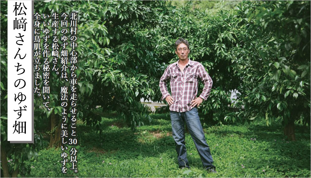 松﨑さん